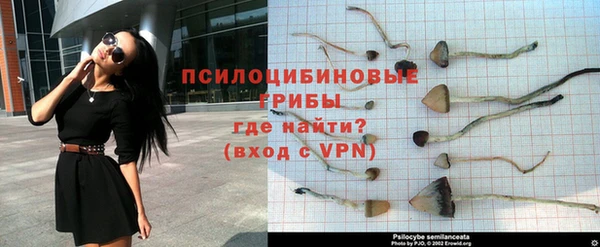 Альфа ПВП Абаза