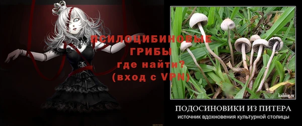Альфа ПВП Абаза