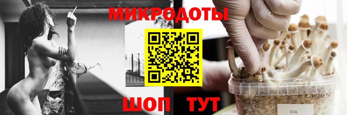 Комсомольск-на-Амуре  Псилоцибиновые грибы мицелий  Вход с VPN  где продают наркотики  Псилоцибиновые грибы Psilocybine cubensis 